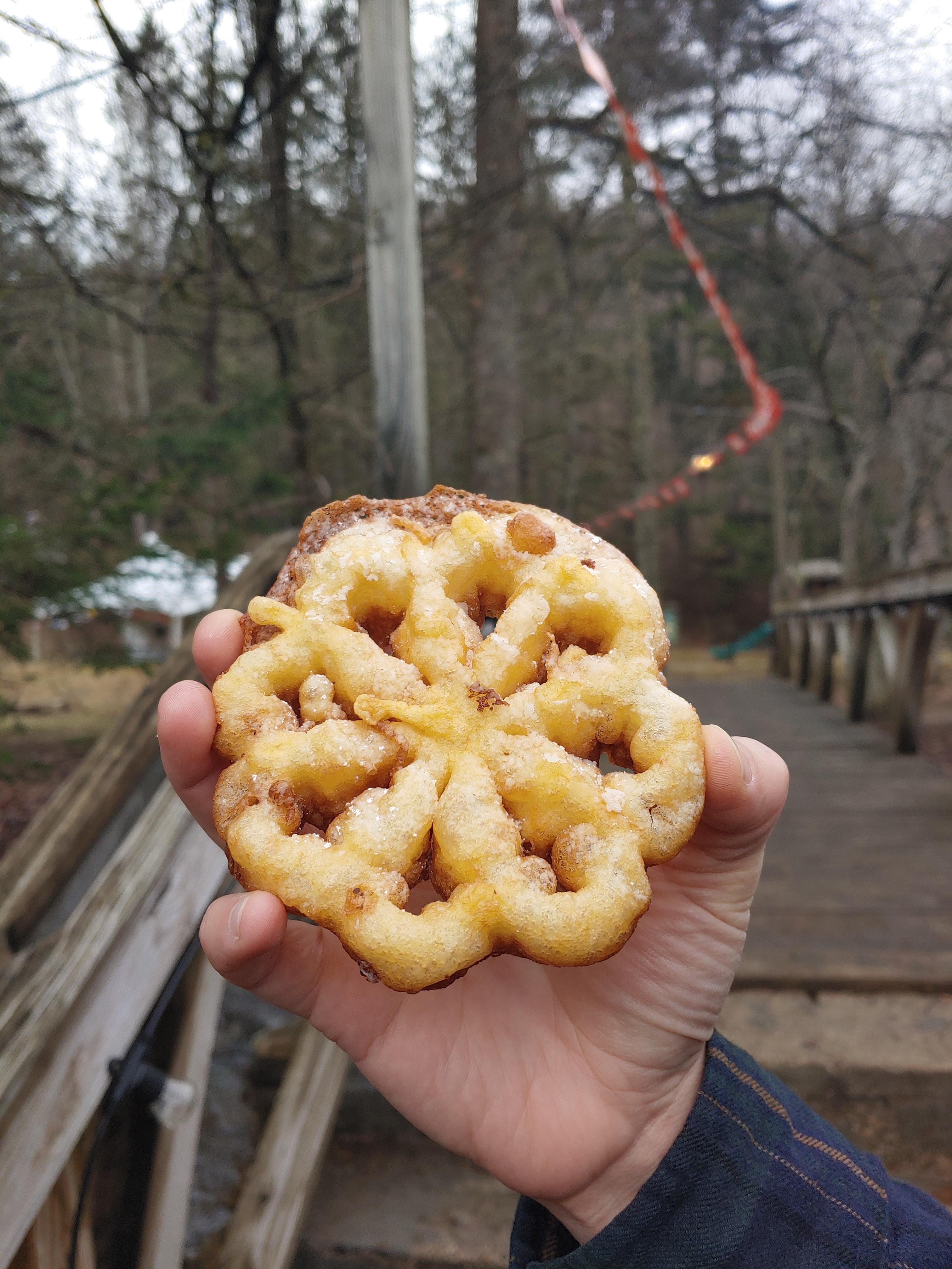 A fried doughnut rosette in the shape of a flower.
