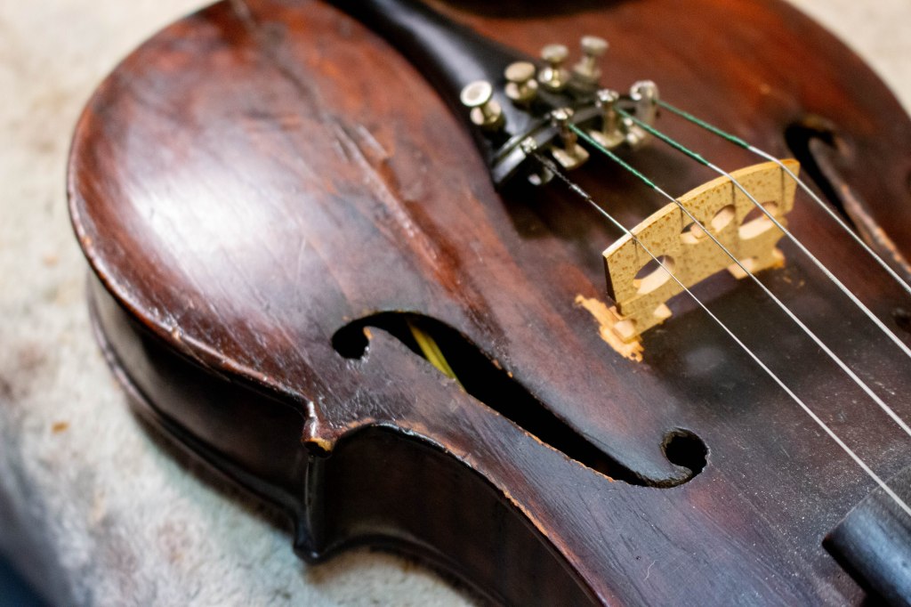 Zoomed in picture on the body of a dark colored fiddle, a blade of grass is visible through the f-hole.