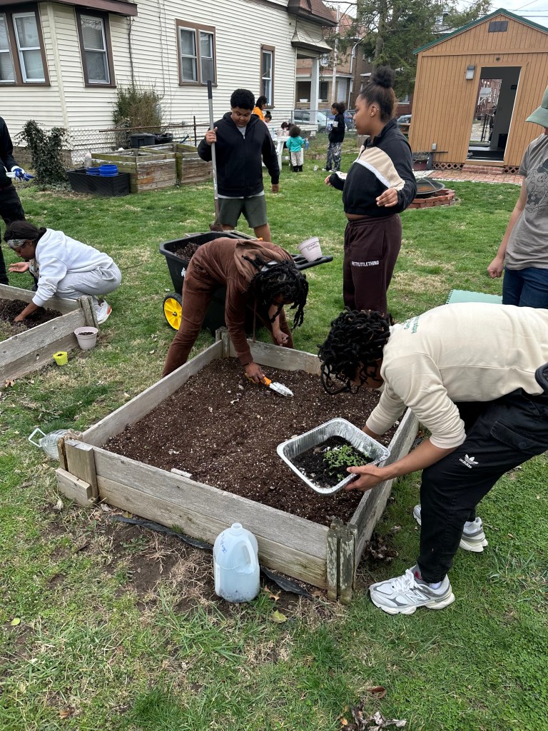 People gather outdoors at a community garden and work together to prepare the garden beds.