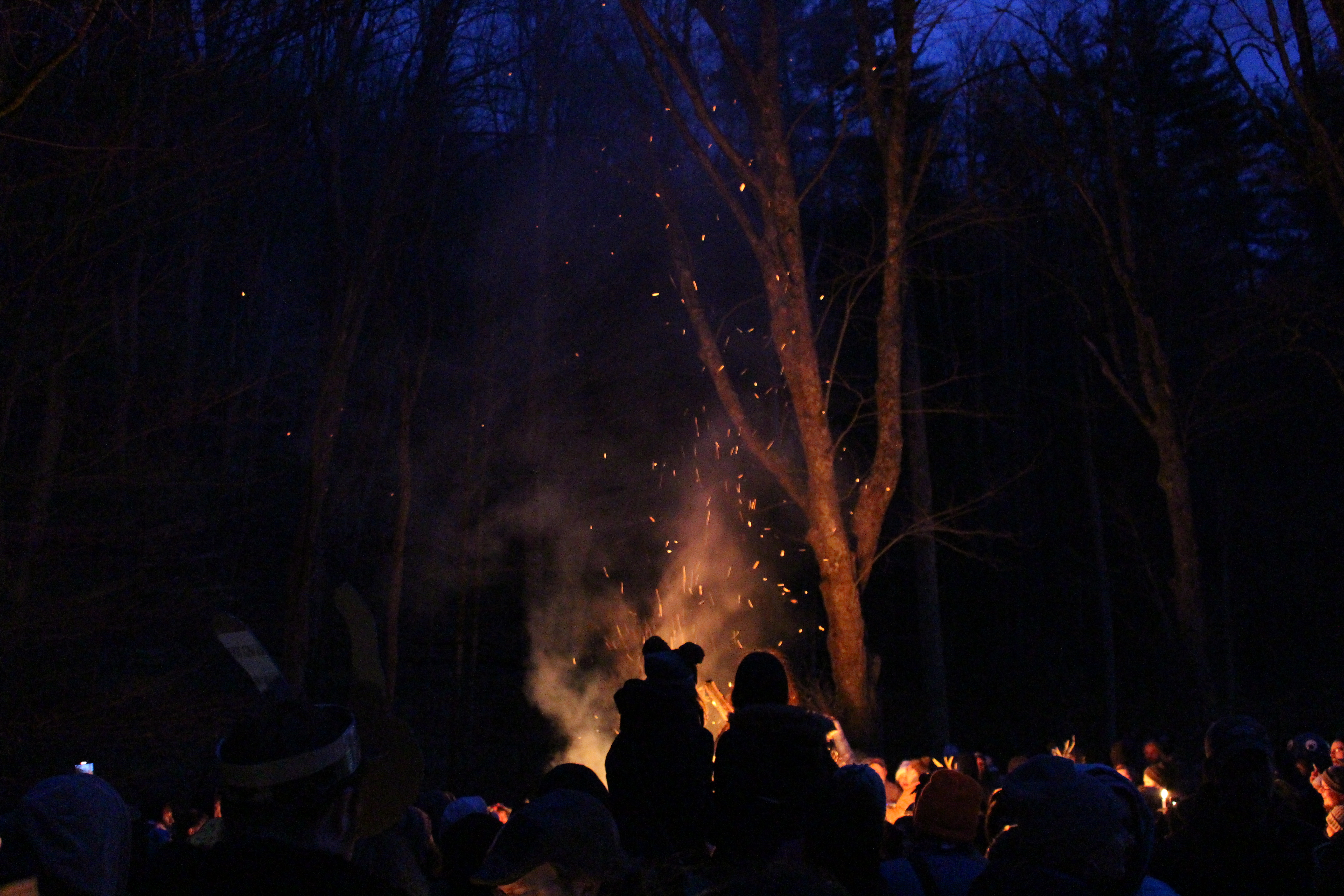A bonfire at night with several silhouettes of people enjoying the fire.